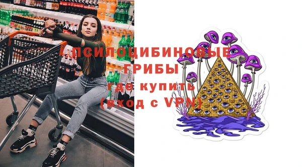 крисы Волоколамск