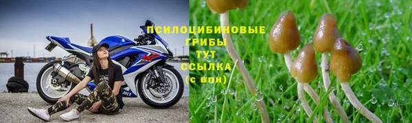 крисы Волоколамск