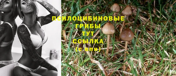 крисы Волоколамск