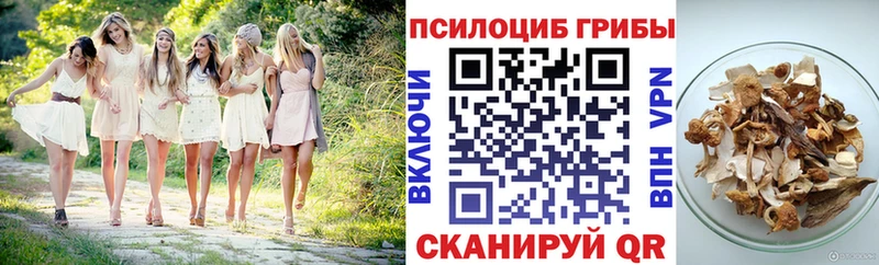 Псилоцибиновые грибы Cubensis  Тюмень 
